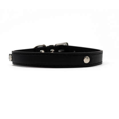 Collar para Mascota - Cuero Negro con Estoperoles 30 cm