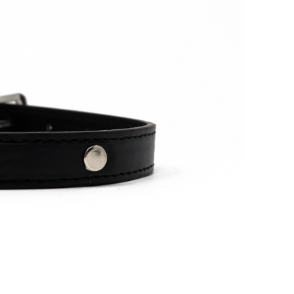 Collar para Mascota - Cuero Negro con Estoperoles 30 cm